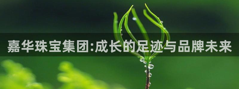 包头众腾娱乐密室逃脱:嘉华珠宝集团:成长的足迹与品牌未来