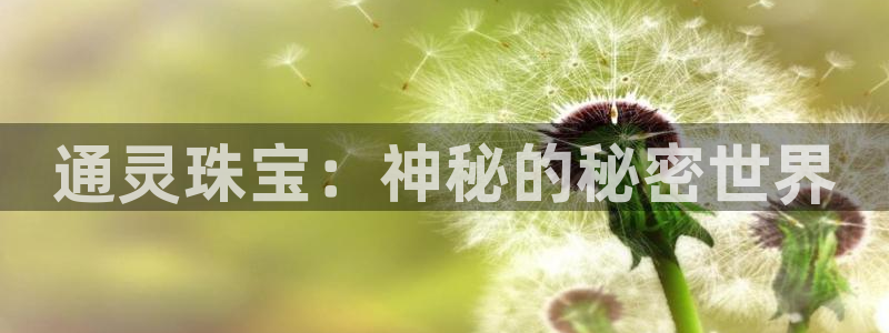 众腾娱乐平台下载:通灵珠宝:神秘的秘密世界