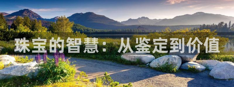 包头众腾娱乐:珠宝的智慧:从鉴定到价值